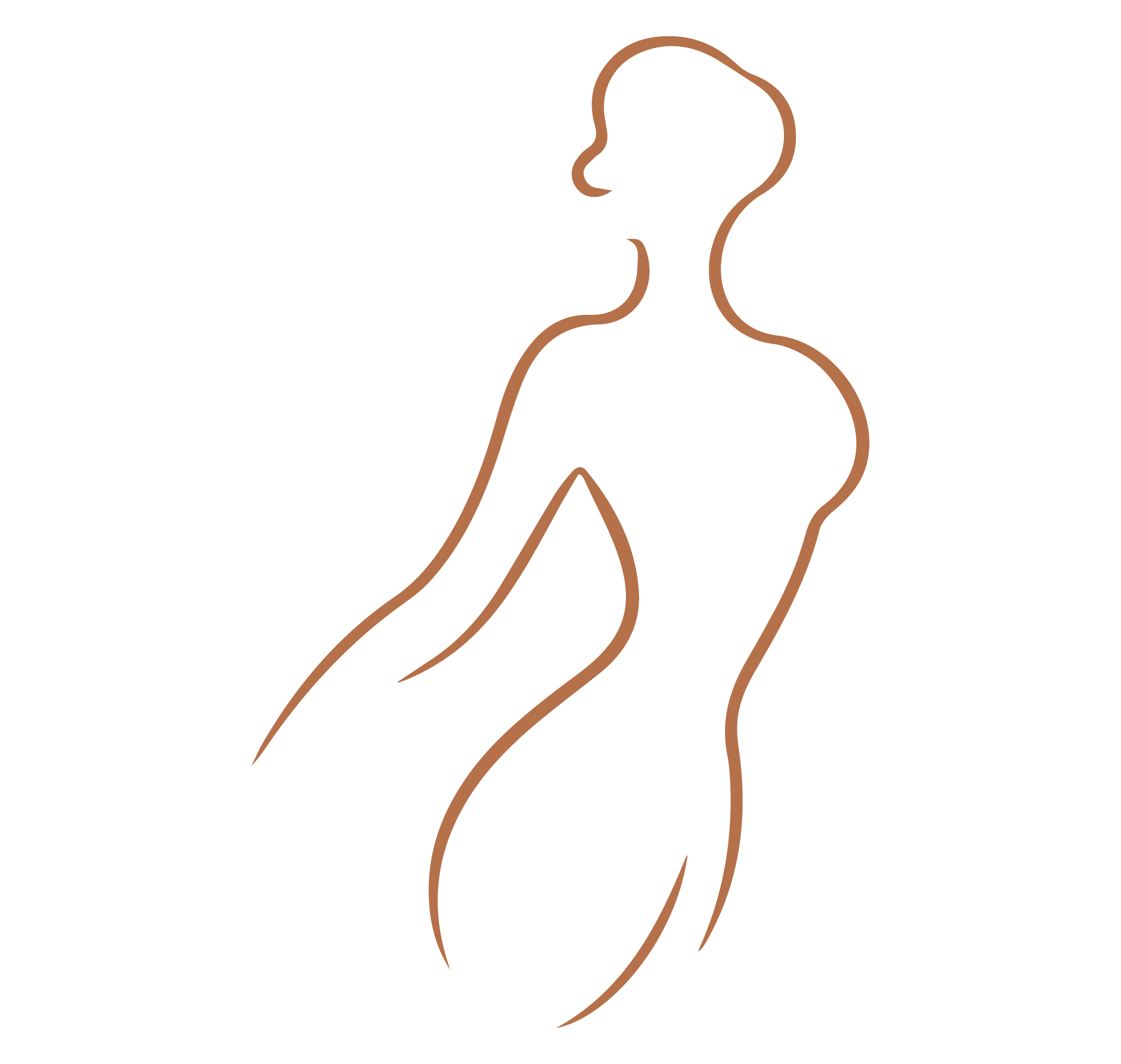 Morphologie de la silhouette